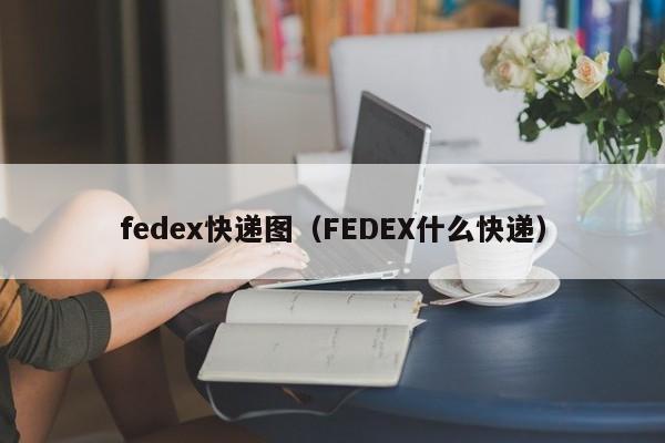 fedex快递图（FEDEX什么快递）