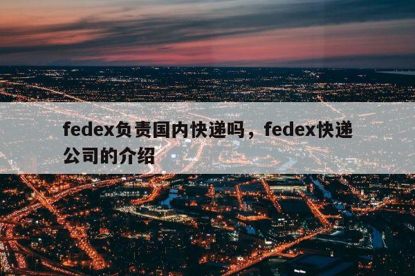 fedex负责国内快递吗，fedex快递公司的介绍